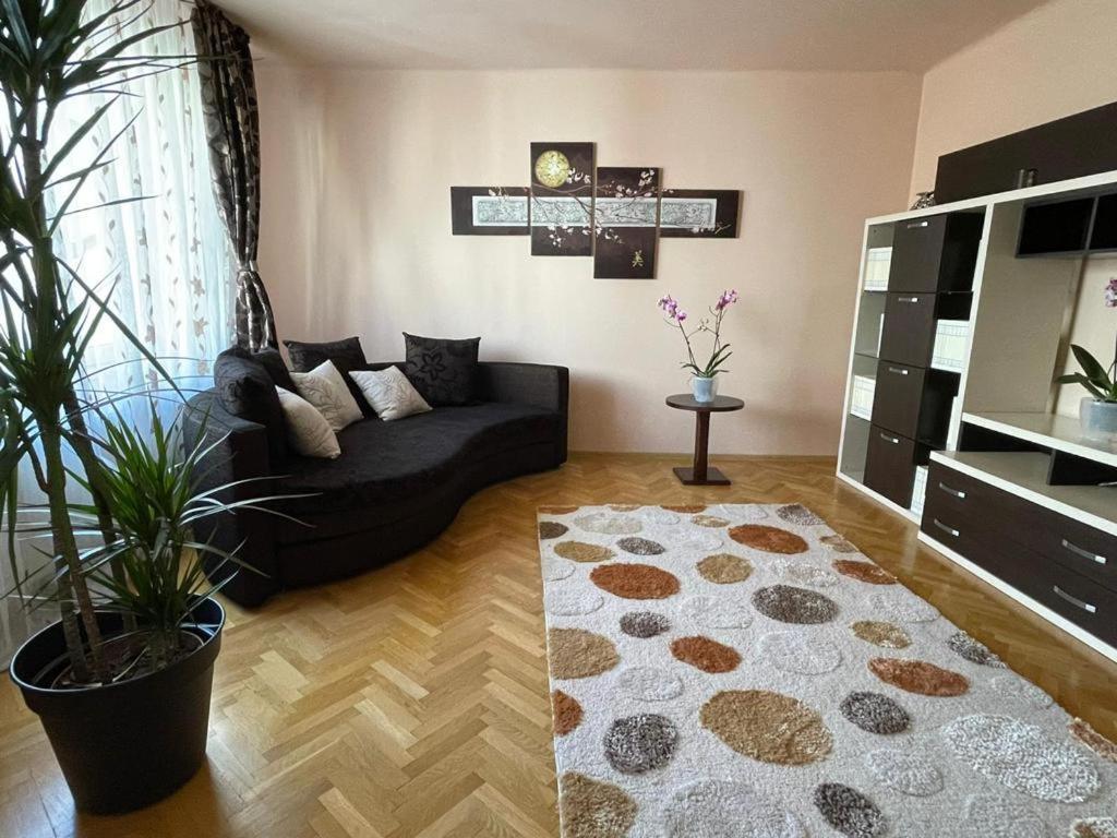 Winterland Sf.Ioan Apartment Brasov Ngoại thất bức ảnh