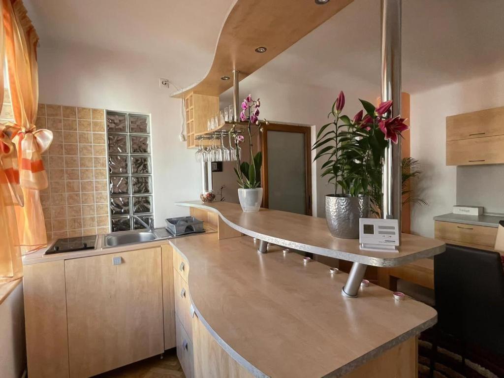 Winterland Sf.Ioan Apartment Brasov Ngoại thất bức ảnh