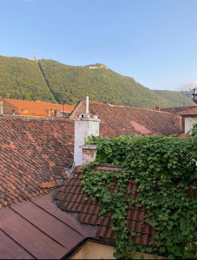 Winterland Sf.Ioan Apartment Brasov Ngoại thất bức ảnh